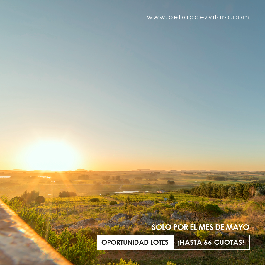 Beba-grilla-03-03